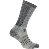 Icebreaker Hike+ Mountaineer Mid Calf Wandersocken 2 Paar Grau 35-37