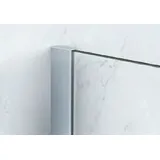Primaster Dusch-Drehtür links mit Seitenwand Easy-8 90 x 90 cm Klarglas