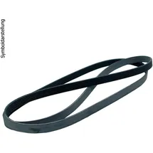 DAYCO Keilrippenriemen 6DPK1825