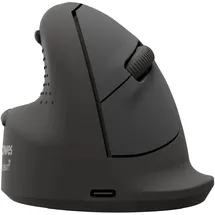 Fellowes Breyta Plus+ schwarz