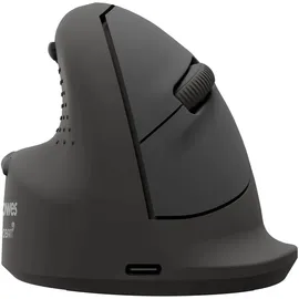 Fellowes Breyta Plus+ schwarz