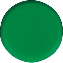 ECLIPSE MAGNETICS LTD Eclipse Organisationsmagnet rund grün 30mm
