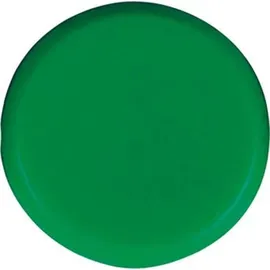 ECLIPSE MAGNETICS LTD Eclipse Organisationsmagnet rund grün 30mm