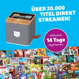 Tiger Media Tigerbox Touch Plus grau