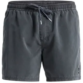 QUIKSILVER Boardshorts Everyday Surfwash Volley 15 schwarz L