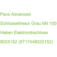 Pavo Advanced Schlüsseltresor grau mit 100 Haken Elektronikschloss
