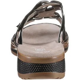 ARA HAWAII 2.0 12-29003