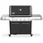 FS38 E Gasgrill Schwarz