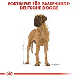 Royal Canin Great Dane 23 Adult 12 kg