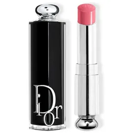 Dior Addict Lipstick - Refillable 373 Rose Celestial