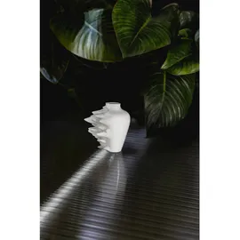 Rosenthal Fast Vase 14 cm