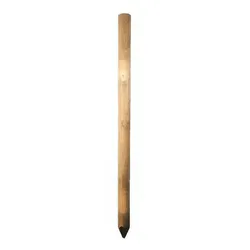 Baumpfähle 10 cm – druckimprägnierte Kiefer/Fichte, rund gefräst, einseitig gespitzt & gefast, Längen: 100–300 cm, für Baumstützen & Zaunbau