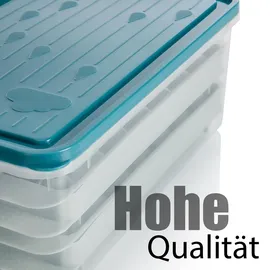 BigDean Eiswürfelform mit Deckel & Zubehör für bis zu 66 runde Eiswürfel