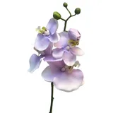 Kunstorchidee Textilzweig Phalaenopsis Orchidee WENSHUO, rosa-lila, 55 cm Orchidee (Orchidee phalaenopsis), artplants rosa