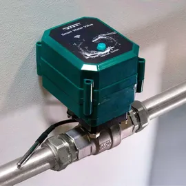 Shelly Smart Wasserventil DN15 grün