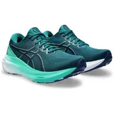 Asics Gel-Kayano 30