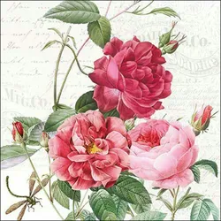 Ambiente 20 Servietten Papier 33x33cm 3-lagig - hochwertige Einweg Papierservietten Rosenmotiv rosa rot vintage Tischdeko Feier Hochzeit florales Design