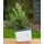 Gusta Garden Herbs Buddy 15,3 x 14,8 x 14 cm Weiß