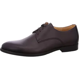 DIGEL Sebastian braun 43