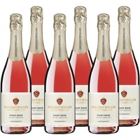 Oberrotweiler Pinot Rosé Sekt extra trocken - hochwertiges Sekt-Geschenk für Frauen und Männer, Badischer Winzersekt (6 x 0,75l)