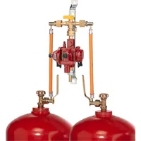 GOK 2-Flaschenanlage 4kg/h 50mBar manuell für Gasflaschen mit 33