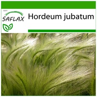 SAFLAX - - 70 Samen - Mit keimfreiem Anzuchtsubstrat