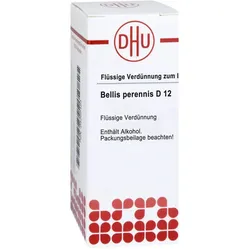Bellis Perennis D12