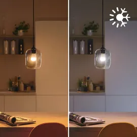 Philips LED-Birne 4,9W E27 RGBW dimmbar 1 St.