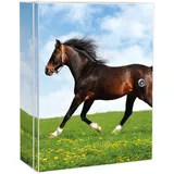 Banjado XXL Medizinschrank Abschliessbar 35x46x15cm Arzneischrank Weiß Aus Metall Mit Motiv Pferd