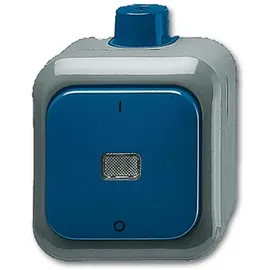 Busch-Jaeger Ausschalter 2601/2 WDI