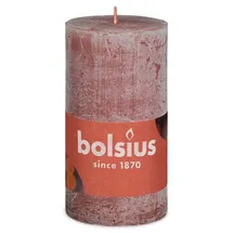 Bolsius  Rustik Stumpenkerze 10 x 5 cm wildleder braun