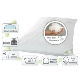 franknatur Ballonbett 155x220 Winterdecke 100% neue Gänsefedern 3700g Bettdecke Winter