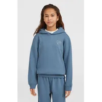 O'Neill Hoodie in Blau - 116