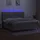 vidaXL Boxspringbett 200 x 200 cm Hellgrau