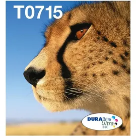 Epson T0715 CMYK