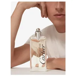 Cartier Eau de Toilette Declaration 100ml  Rfbl
