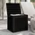 furnicato Gartenbox 55,5 x 43 x 53 cm 1-tlg. Schwarz