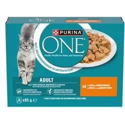 Purina ONE  Nassfutter Katze Adult zarte Stückchen in Sauce 8x85 g