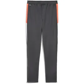 Puma IndividualLIGA Training Pants Jr shadow gray-puma white-glowing red 164