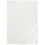 biberna Spannbettlaken Jersey 90 x 190 - 100 x 200 cm grau