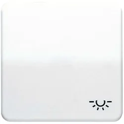 Jung Wippe Symbol LICHT ws CD 590 BFL CD590BFL