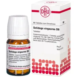 SOLIDAGO VIRGAUREA D 6 Tabletten 80 St