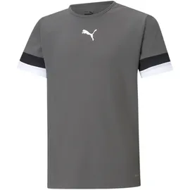 Puma Teamrise Jersey Jr Grau 152