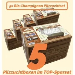 Super Angebot - 5 x weiße BIO Champignon-Pilzzucht Boxen