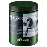 St. Hippolyt Magnesium B12 1 kg