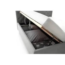 Meise Möbel Polsterbett San Remo 180 x 200 cm Stoff Grau Hellgrau