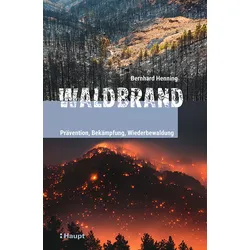 Waldbrand – Prävention, Bekämpfung, Wiederbewaldung