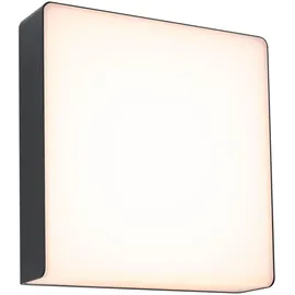 Paulmann 94840 LED-Außenwandleuchte LED Außenwandleuchte Azalena Bewegungsmelder mit Hochfrequenz-Sensor IP44 250x97mm 8.5W Anthrazit