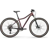Centurion Backfire Fit Pro 800 27 Zoll RH 43 cm merlot