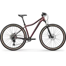 Centurion Backfire Fit Pro 800 27 Zoll RH 43 cm merlot